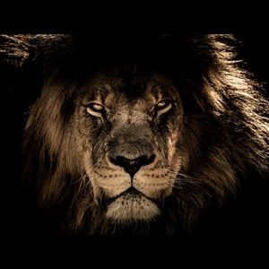 Meet your Posher, Bryan